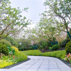 別墅庭院設(shè)計(jì)的后期如何養(yǎng)護(hù)副省级？